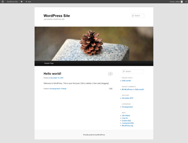 Wordpress:Frontend