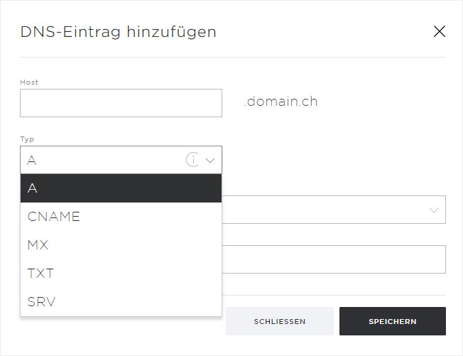 Support: DNS-Einstellungen unter Domain vornehmen | Hoststar
