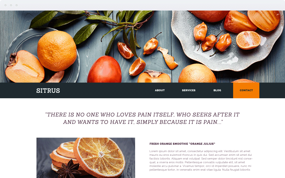 Screenshot Design Sitrus Screenshot Design Sitrus